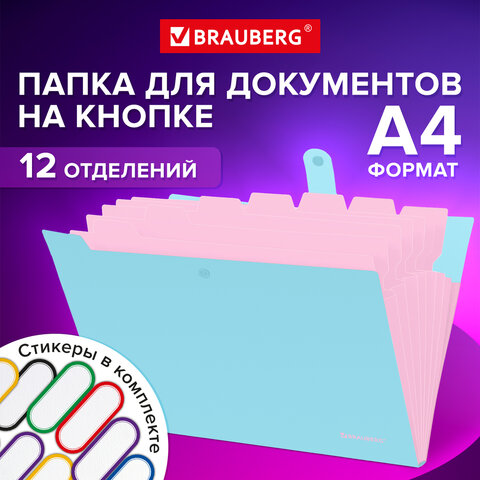 Папка-органайзер на кнопке 12 отделений, BRAUBERG "Extra", А4, голубая с розовым, 271932