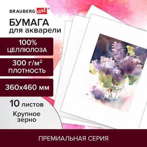 Бумага для акварели 300 г/м2 360x460 мм крупное зерно, 10 листов, BRAUBERG ART PREMIERE, 113229