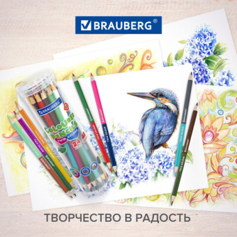 Карандаши цветные двусторонние BRAUBERG PREMIUM TWIN COLOUR, 24 шт., 48 цв., туба, шестигранные, грифель 3,3 мм, натуральное дерев