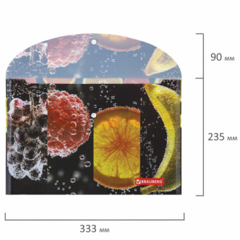 Папка-конверт с кнопкой BRAUBERG "FRESH ZONE", А4, 160 мкм, до 100 листов, цветная печать, 228034