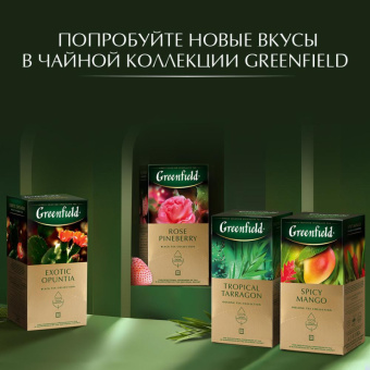 Чай Greenfield Summer Bouquet фруктовый фольгир.25пак/уп