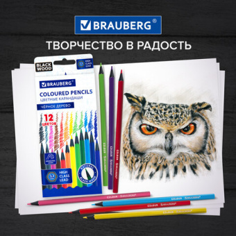 Карандаши цветные BRAUBERG, 12 цветов, шестигранные, грифель 3,3 мм, черное дерево, 181856