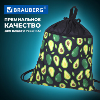 Мешок для обуви BRAUBERG БОЛЬШОЙ, с ручкой, карман на молнии, сетка, 49х41 см, "Avocado", 271058