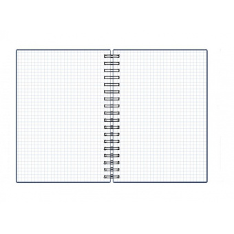 Бизнес-тетрадь ErichKrause Megapolis А6 80 листов синяя в клетку на спирали (102x146 мм)