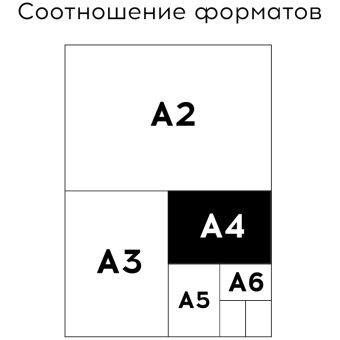 Альбом для рисования 24л., А4, на гребне Greenwich Line "Botanical. Peony", 160г/м2, глянцевая ламин