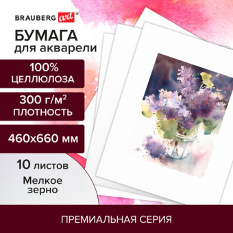 Бумага для акварели 300 г/м2 460x660 мм мелкое зерно, 10 листов, BRAUBERG ART PREMIERE, 113232